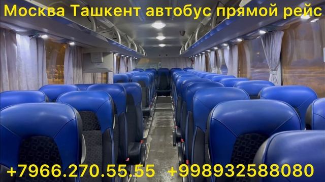 #москва #ташкент #автобус #2023 прямой рейс #краснодар #оренбург #краснодар #рязан #россия ￼ смотреть онлайн