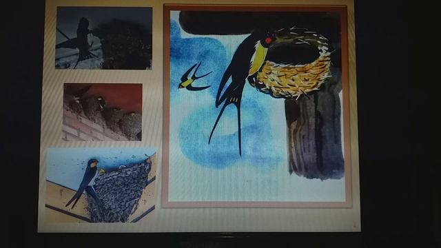 В.В. Бианки - Мастера без топора. Библиотека мкрн. Луговая. Читает Т.А. Соколова смотреть онлайн