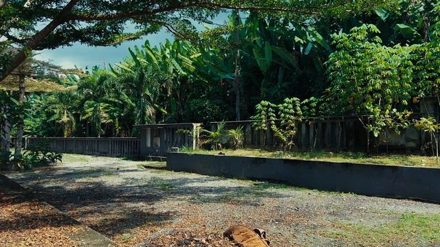 Leica Q2 | Essential Accessories смотреть онлайн