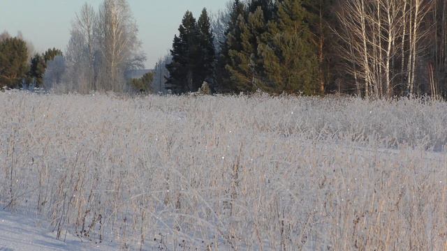 Футаж: иней бликует на траве смотреть онлайн