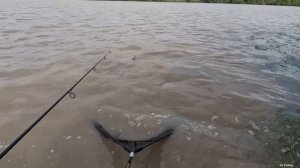 Рыбалка с палаткой на сазана 24 часа карпфишинг и кулинария на природе, рецепт бутербродов