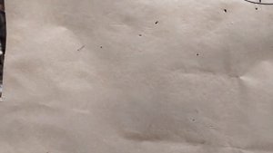 Порох Сунар СФ пробный отстрел