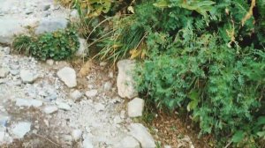 Ущелье Адыл-Су. Приэльбрусье. Прогулка в погран зону до озера Башкара