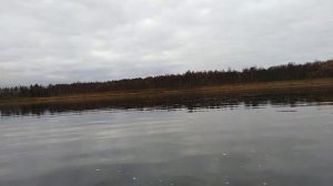 Ловля хищной рыбы на Селигере