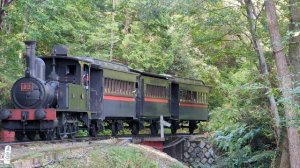 Steam locomotives running in an area with a rich Japanese history.October 2023