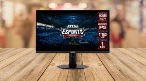 MSI G244F 24 Inch FHD IPS Gaming Monitor ✅ Review