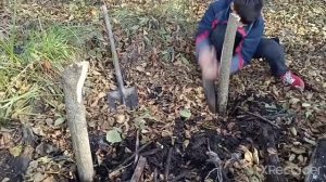 Делаем домик на дереве (ЧАСТЬ 1)