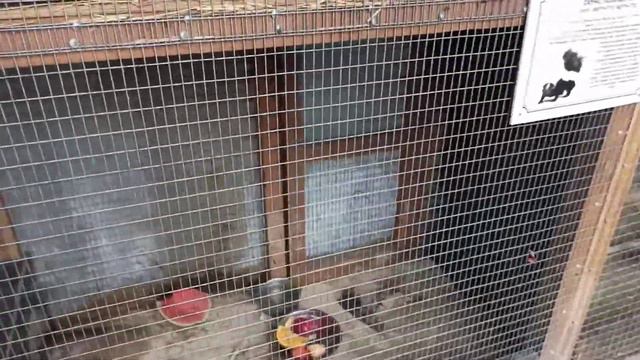 Отпускной VLOG: и снова Бахчисарайский парк миниатюр // море эмоций // бесплатные атракционы смотреть онлайн