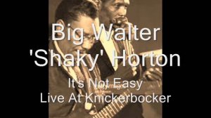 Big Walter Horton-It's Not Easy (Live At Knickerbocker)