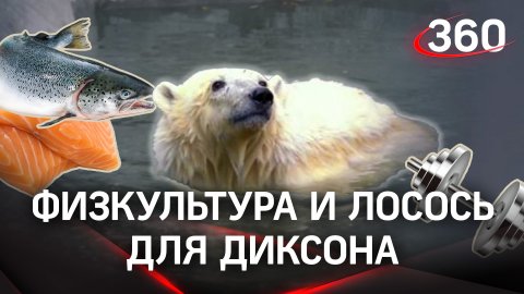Как себя чувствует медведь Диксон и как заботятся о краснокнижных животных в России?