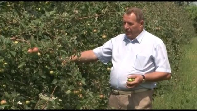 Сельский порядок. Интенсивное садоводство в Белгородской области (16.07.2014)