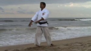 Sensei Maxwell Shorinji Kempo