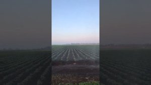 Полив картофеля спринклером Маринер (Mariner)