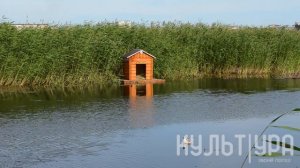     Эколого-туристская тропа в природном парке "Птичья гавань"  