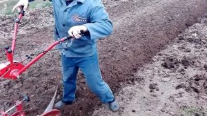 Вспашка огорода мотоблоком Беларус-09Н МТЗ ч4