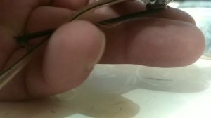 Ремонтируем высокочастотный динамик из китая ( пищалка)