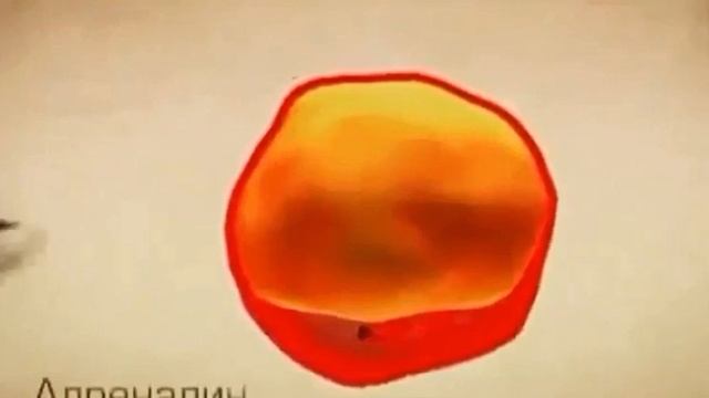 Механизм расщепления жировой клетки простыми словами