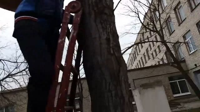 Делаем добрые дела повесели скворещник VLOG 9999999999% ЛЮДЕЙ не посмотрят смотреть онлайн