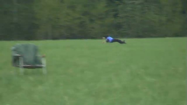 CACIL/ЧРКФ по Курсингу РАЛББ, Москва 16 мая 2009. Салюки смотреть онлайн