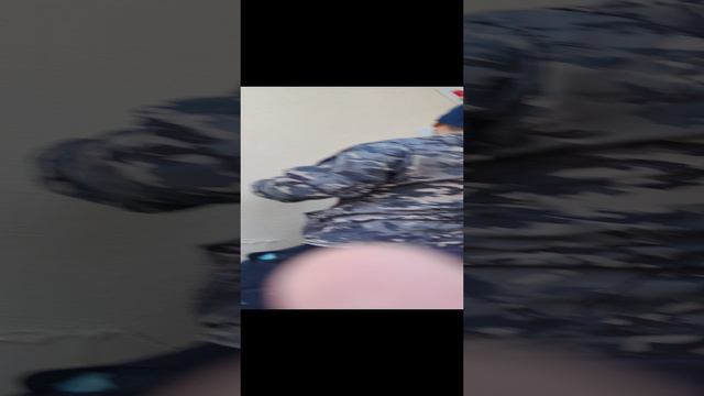 VID_20240816_063929 смотреть онлайн