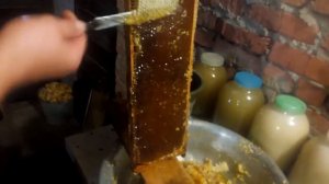 Качаем мед из подсолнечника (2015г.)