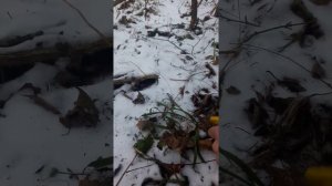 №1 Закладка наход выдра печеньки прикоп