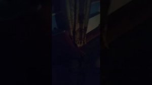 Ругаются люди