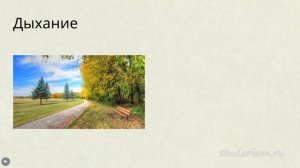 Круглые черви. Ароморфозы, строение. Лекция и разбор заданий ЕГЭ