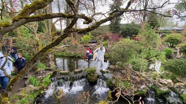 ☘️САМЫЙ КРАСИВЫЙ ПАРК ИРЛАНДИИ/СОБАКИ, КАК ДЕТИ?/ЕДЕМ В co. KILDARE?/ДЕРЕВНЯ OUTLET В ИРЛАНДИИ?