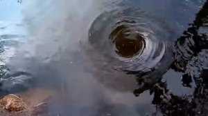 ОНА ПЕРЕДВИГАЛАСЬ ЕЛЕ ЕЛЕ. ОТ ЭТОГО ВИДЕО ТЫ ЗАПЛАЧЕШЬ