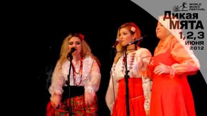 Exilados выступят на Дикой Мяте 2012