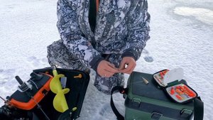 Ловля окуня на комбайн в заливе Пярну.