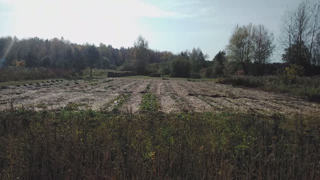 Как родился проект Ягодный эксперимент и на что он направлен