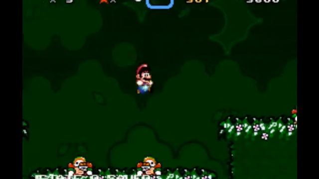 Bowser Forest Episode 1: Dungeon of Doom смотреть онлайн