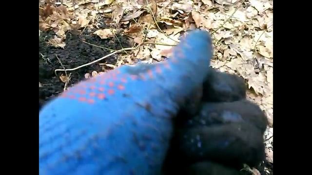 НАШЕЛ ЗОЛОТО! ШОК! Как я нашел ЗОЛОТО УДАЧНЫЙ ЗОЛОТОЙ КОП! СМОТРЕТЬ ВСЕМ! / I found a gold ring