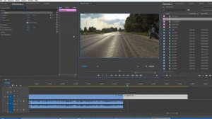 Adobe Premiere PRO Как сделать стоп кадр с эффектом