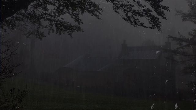 Мгновенно погрузиться в сон | шум дождя и грома в туманном лесу ночью смотреть онлайн