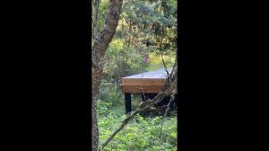 Глэмпинг в Морском. Как все устроено.