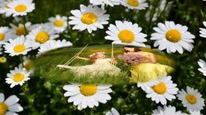 Замечательная христианская песня Поёт Светлана Малова Цветы!