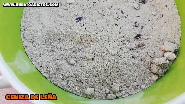 ABONO CASERO MÁGICO! Con SOLO 2 Ingredientes Más FLORACIÓN y Muchos FRUTOS | Fertilizante Casero смотреть онлайн