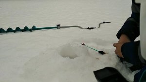 Предновогодняя рыбалка на Ундозере. 31.12.2019