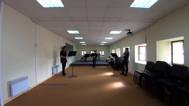 Divertiment per a oboè, clarinet i fagot, W. A. Mozart - Música de Cambra смотреть онлайн