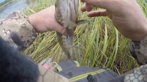 Рыбалка на Сахалине. Река Лангры - Щука на севере Сахалина.