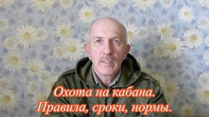 Охота на кабана, правила, сроки, способы.