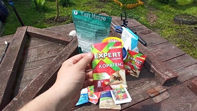 Обработка плодового сада от плодожорки и листовертки. Обзор препаратов от болезней и вредителей .