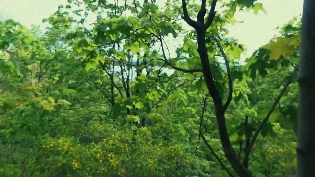 ЛЫСАЯ ГОРА /СОКОЛЬИ ГОРЫ/ САМАРА/ смотреть онлайн