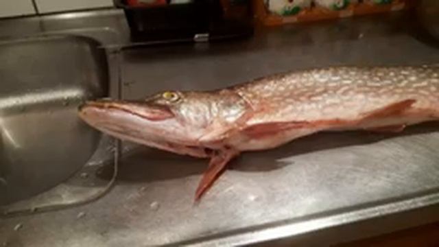 рецепт моей фирменной мешанки для кур смотреть онлайн