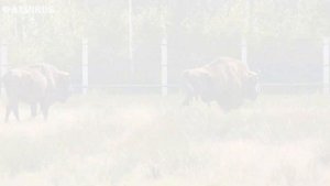 БРЕСТ ГЛАЗАМИ ТУРИСТА. ДОСТОПРИМЕЧАТЕЛЬНОСТИ БРЕСТА