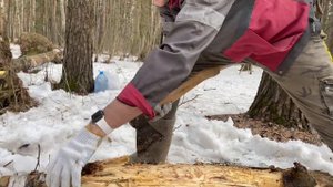 ШАШЛЫК ИЗ ИНДЕЙКИ И КУРИЦЫ/ ЧТО ПОЛУЧИЛОСЬ?