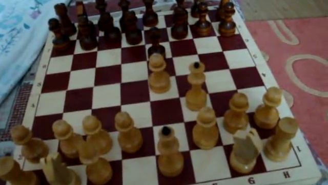 шахматы детский мат смотреть онлайн